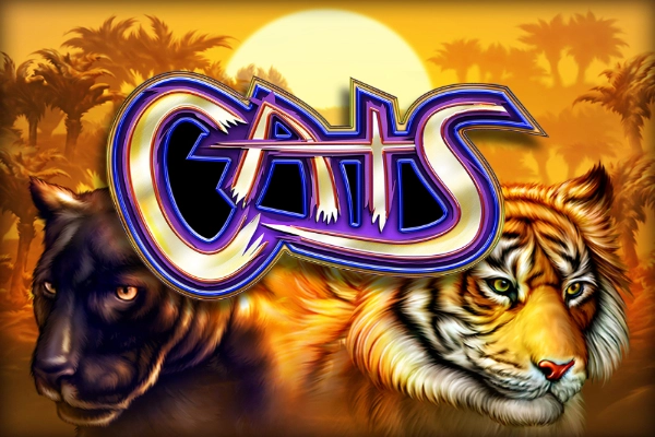 Cats at Slotroyals casino